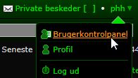 Billede